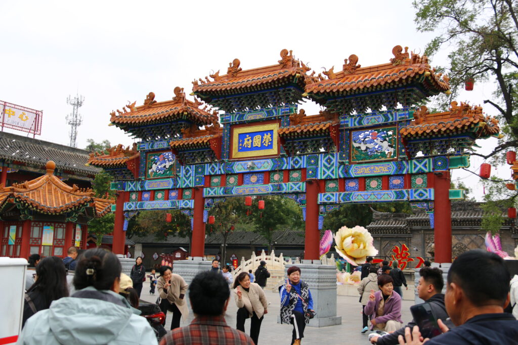 荣国府随拍